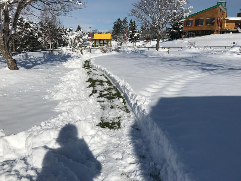 雪ですが…オープンしてます♪_d0214172_12124503.jpg