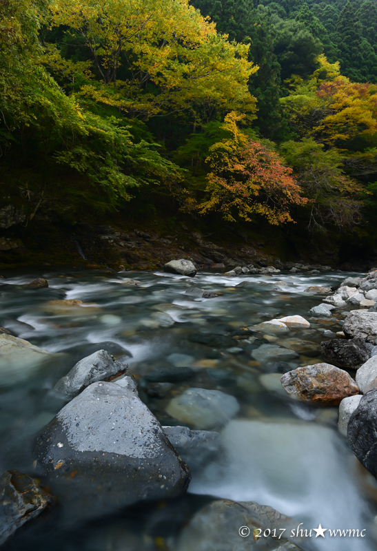 山里の秋：2：水辺の彩_a0142976_18081303.jpg