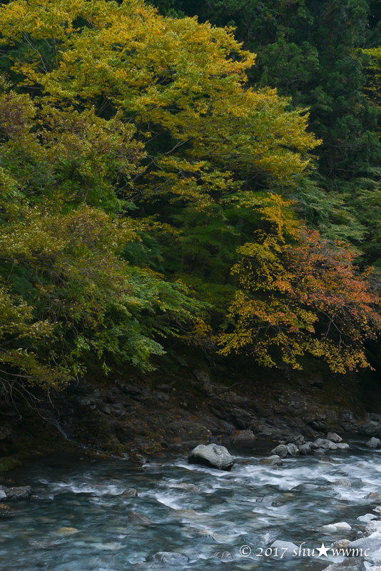 山里の秋：2：水辺の彩_a0142976_18083920.jpg