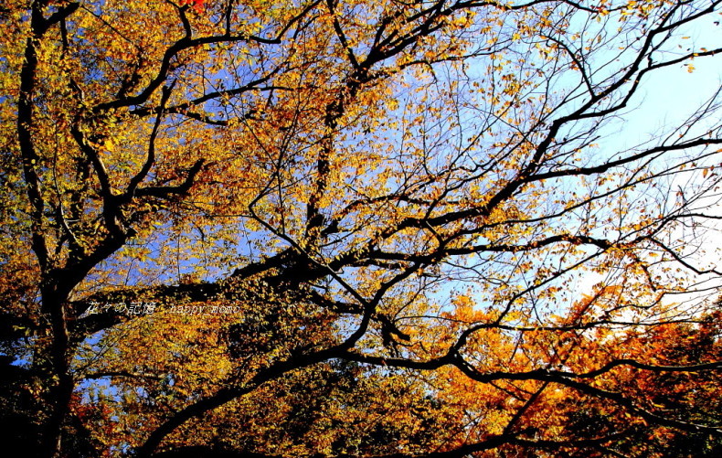 c0357781_10193004.jpg