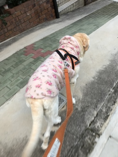 f0315081_22115878.jpeg
