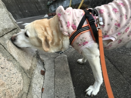 f0315081_22151247.jpeg