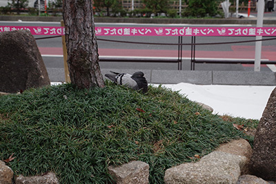 b0056983_20510803.jpg