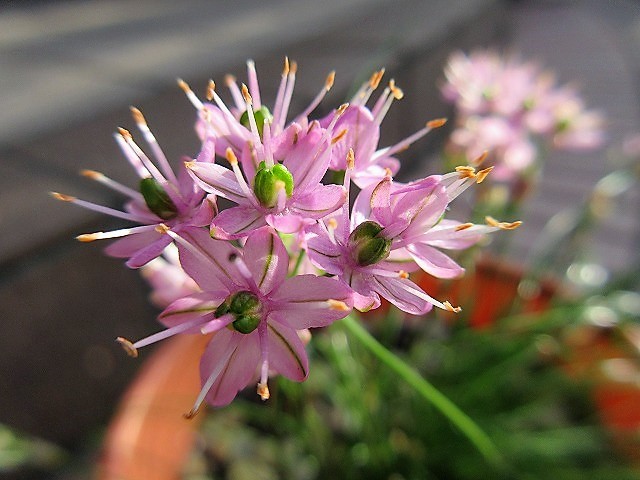 b0182884_22311737.jpg