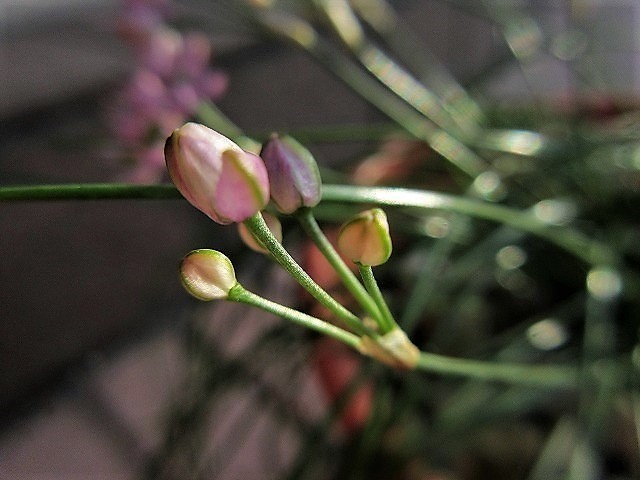 b0182884_22312689.jpg