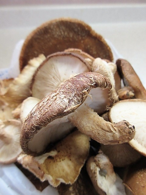 b0182884_23423106.jpg