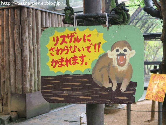 ２０１７年１０月　とくしま動物園　その２_a0052986_7501388.jpg