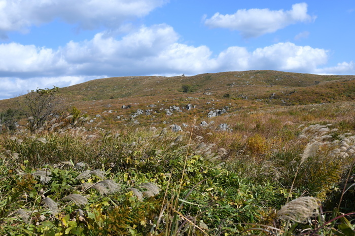 a0127090_23224335.jpg