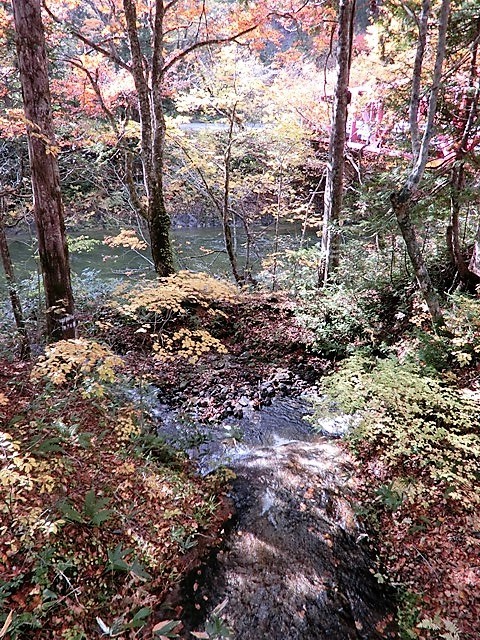 d0181492_21275896.jpg