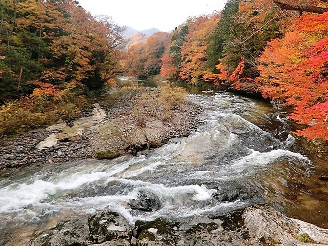 藤田八束の鉄道写真@平成29年11月に撮影した写真の中からお気に入りをピックアップしました_d0181492_21511166.jpg