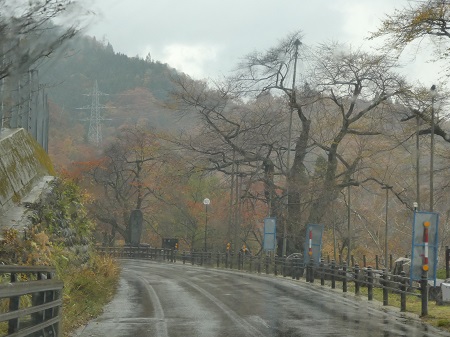 「白川街道」　2017年11月_d0264892_183547.jpg