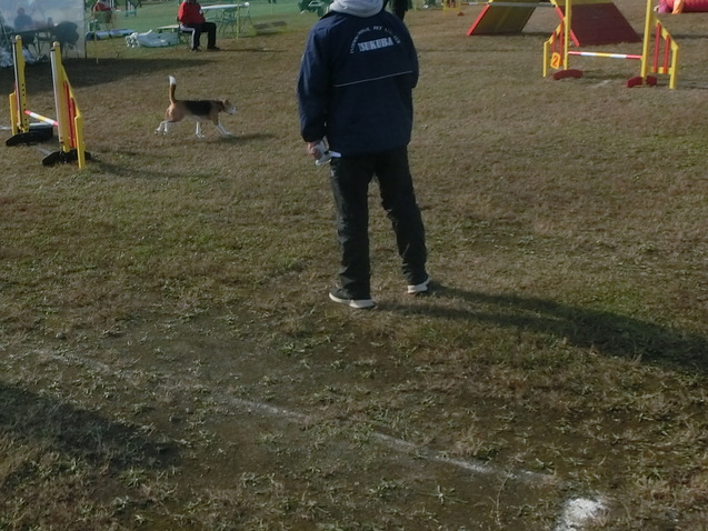 a0319693_843440.jpg