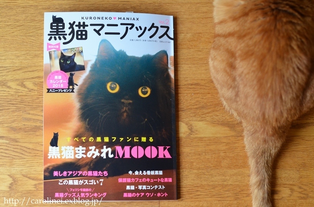 黒猫マニアックス vol.2 に、Lauraの黒猫スイーツ　Laura\'s Cat-shaped Sweets on \"Kuroneko Maniax vol.2\"_d0025294_18233787.jpg