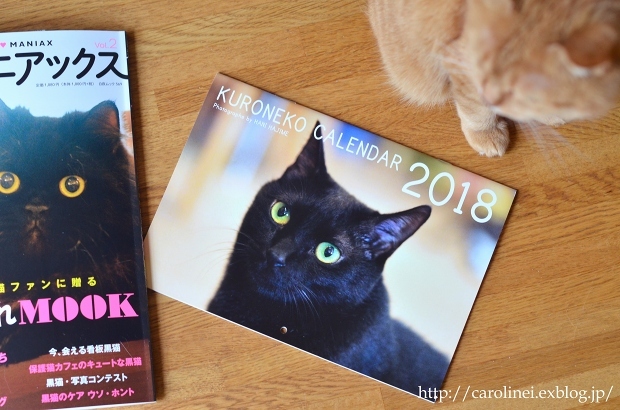 黒猫マニアックス vol.2 に、Lauraの黒猫スイーツ　Laura\'s Cat-shaped Sweets on \"Kuroneko Maniax vol.2\"_d0025294_18245537.jpg