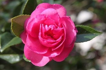 e0354596_23471803.jpg