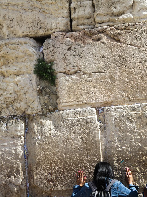 f0346196_14311497.jpg
