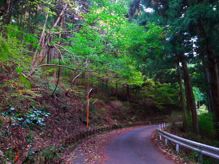 大山阿夫利神社紅葉ライド_d0081997_21071367.jpg