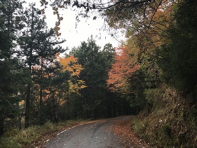 f0308898_08171618.jpg