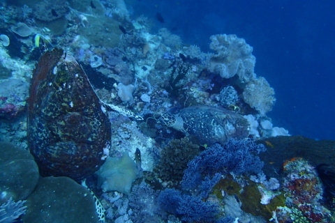 e0088400_04592669.jpg