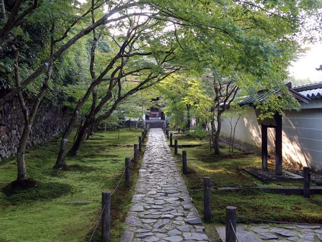 e0078706_16251808.jpg