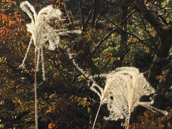f0364707_15052520.jpg