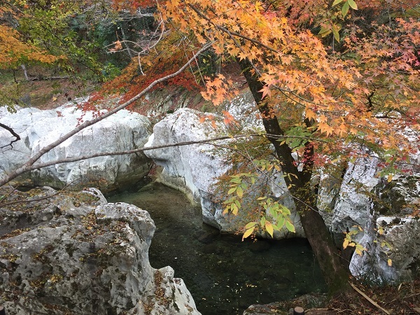 f0364707_15074688.jpg