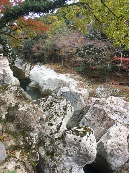 f0364707_15080676.jpg