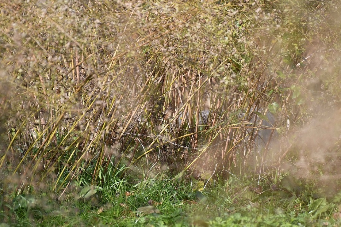 b0367008_17574240.jpg
