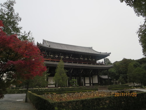 東福寺の紅葉情報です。_e0336009_00045545.jpg