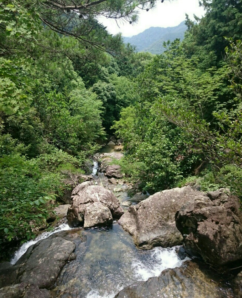 a0361610_12174144.jpg