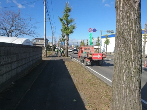 c0153412_16030721.jpg