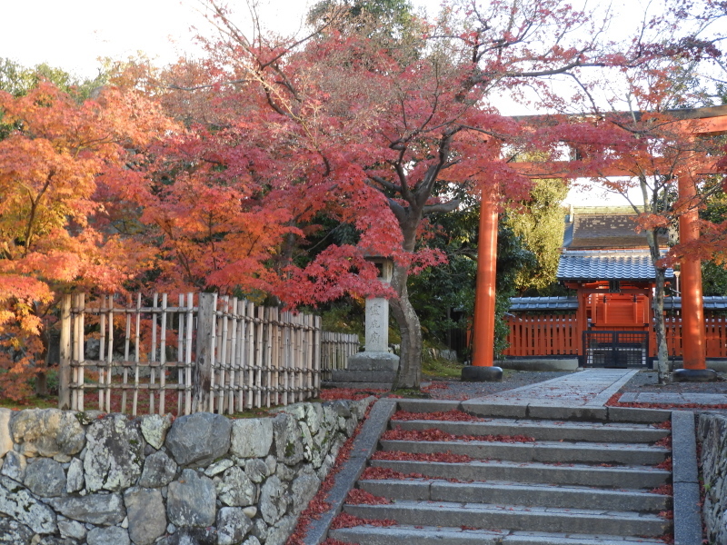 嵐山の朝と天龍寺_e0048413_19454566.jpg