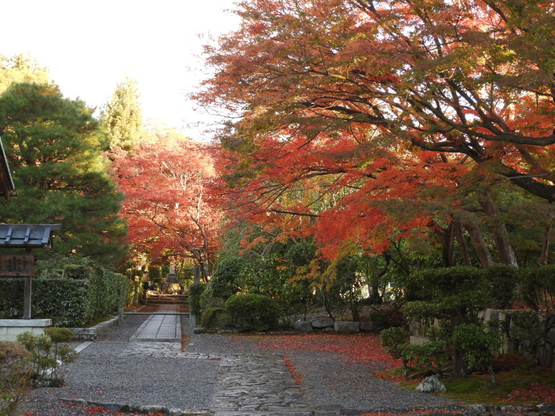 嵐山の朝と天龍寺_e0048413_19461196.jpg