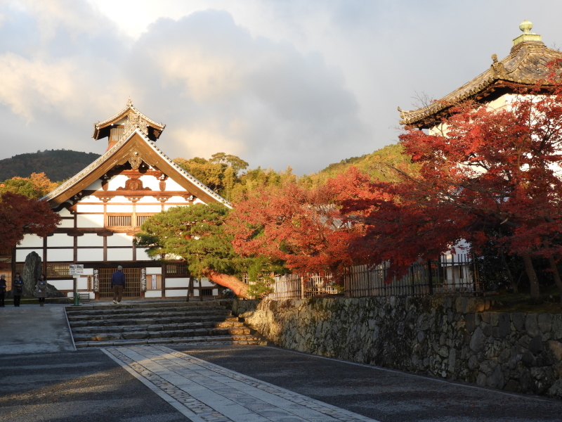 嵐山の朝と天龍寺_e0048413_19462366.jpg