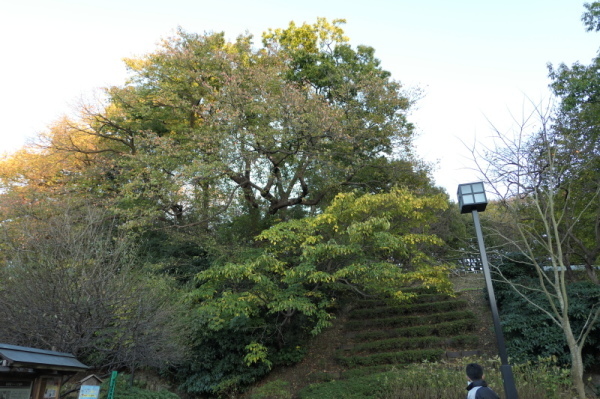 f0369014_12184432.jpg