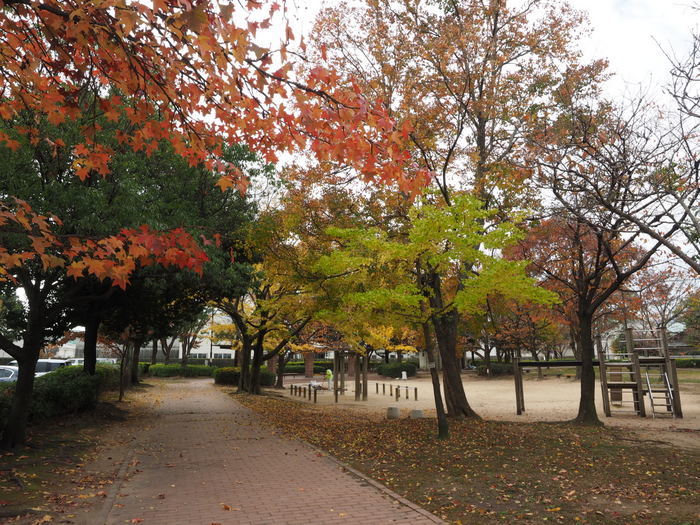 佐伯区民文化センター&五日市中央公園_c0116915_23194886.jpg