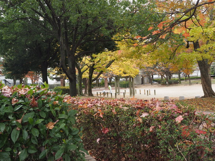 佐伯区民文化センター&五日市中央公園_c0116915_23214469.jpg
