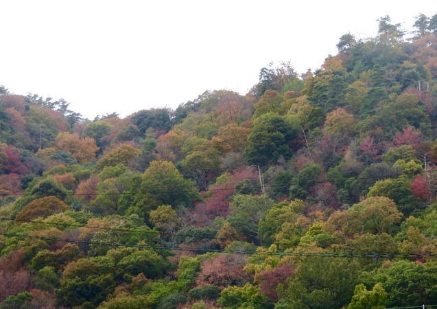 b0344816_21290524.jpeg