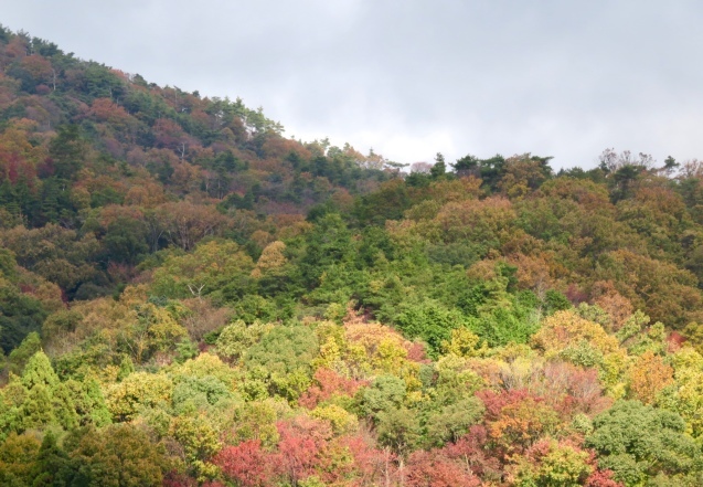 b0344816_21295564.jpeg