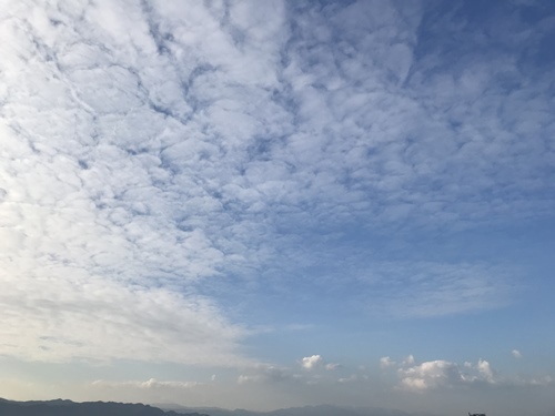 f0251618_13215965.jpg