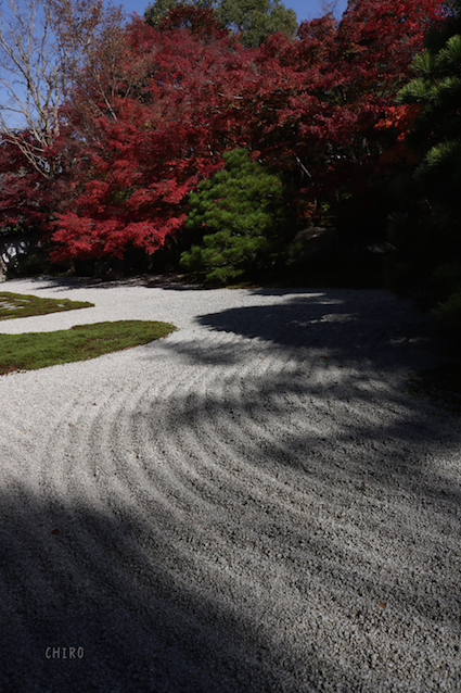 彩、京都・・・紅葉編 part１_f0293522_10295356.jpg