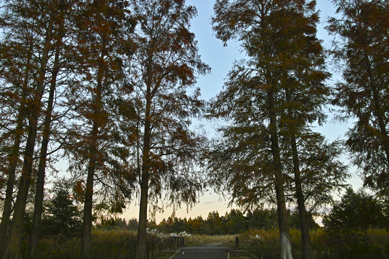 c0223825_01133145.jpg