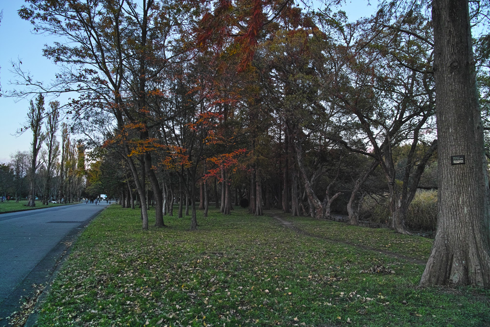 c0223825_01180826.jpg