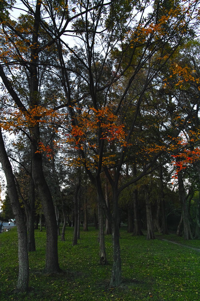 c0223825_01195269.jpg