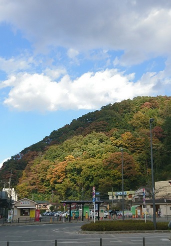 d0365027_17120763.jpg