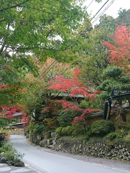 d0365027_17124260.jpg