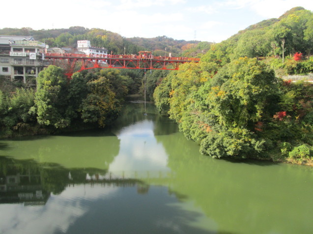 信貴山の紅葉　朝護孫子寺_d0361028_00314482.jpg