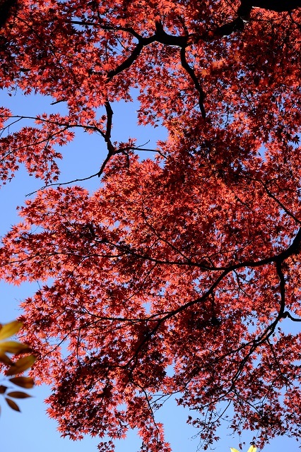 b0230131_12445891.jpg