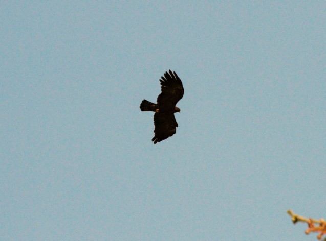 f0118332_00502676.jpg