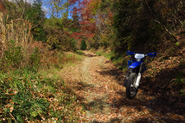 初冬の南いわき林道ツーリング　（WR250F）_f0126932_20425091.jpg